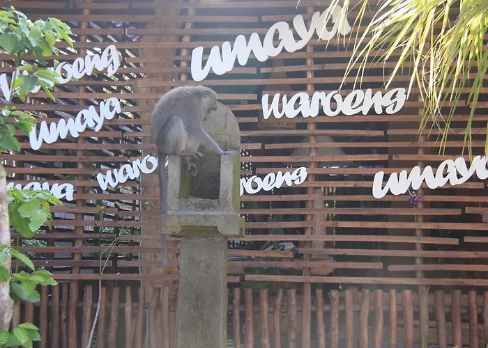 Umaya Holiday park