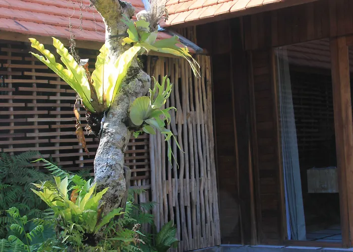 Umaya Holiday park Ubud (Bali)